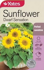 SUNFLOWER DWARF SUNSATION SEED PACKET